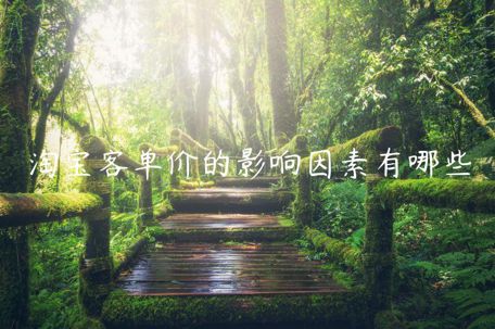 淘寶客單價(jià)的影響因素有哪些